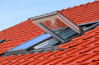 Goonlaze roof window